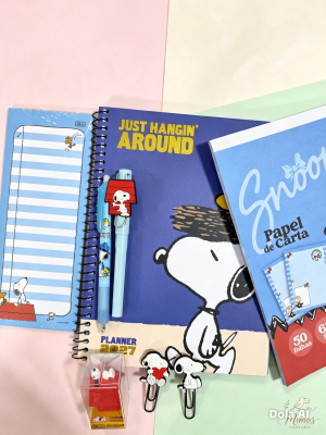 Box Snoopy